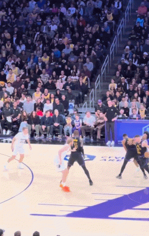 很硬！東契奇強突蘭代爾 頂著阿爾達馬拉桿上籃命中！